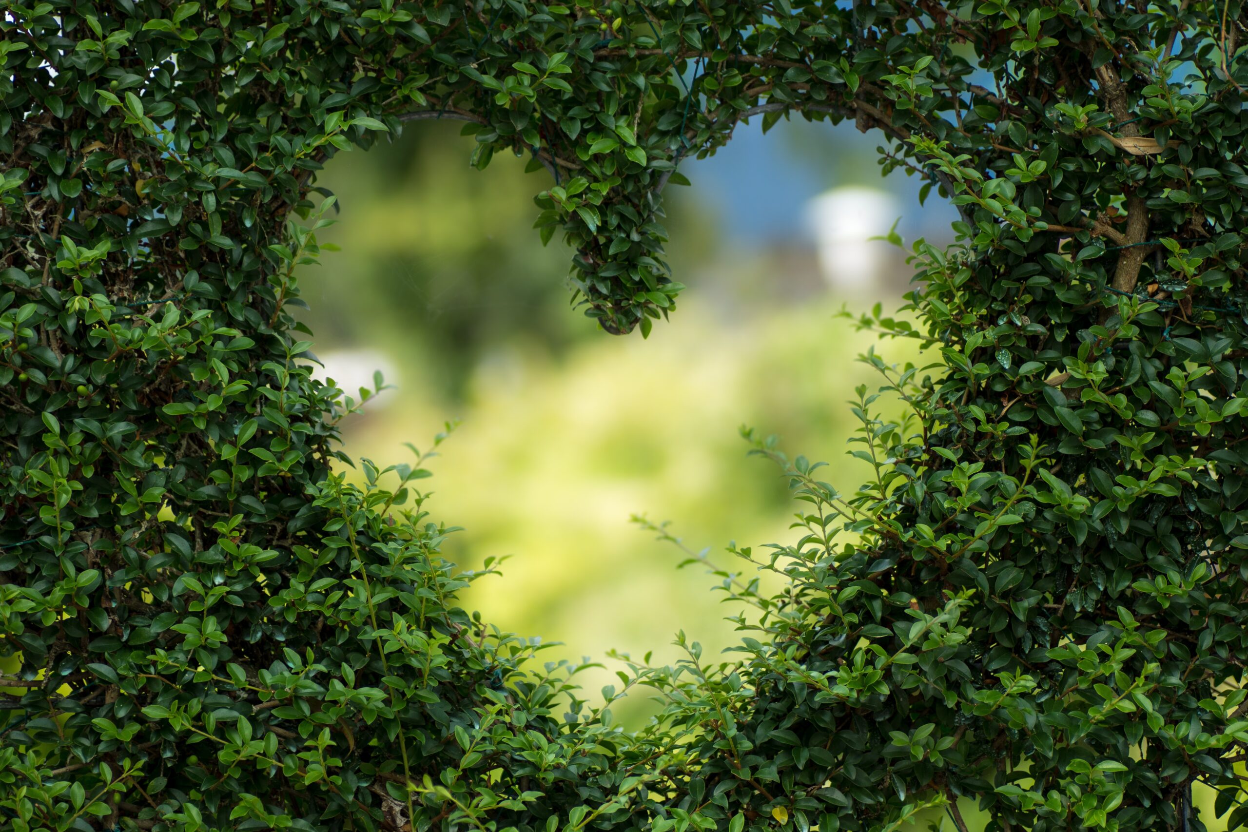 Spring Plumbing and Heating